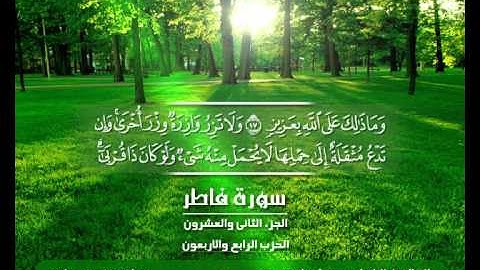 الشيخ حسن مرعب , سورة فاطر -ج22 - ح44