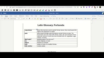 Using Screenshot Reader in Read&Write for Chrome in Word Online