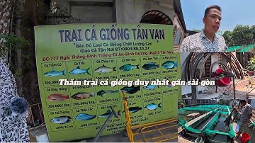 Thăm trại cá giống gần như còn duy nhất khu vực vùng ven Sài Gòn