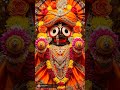 🌅 Mo Jaga Kalia Re ❤️ | Divine Morning Darshan of Jagannath #Shorts