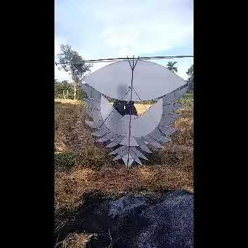 Story wa layangan garuda