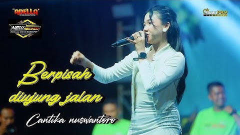 BERPISAH DIUJUNG JALAN - Cantika Nuswantoro - OM ADELLA ( live New Recinda 2024 )