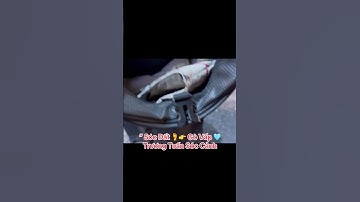 “ Sóc Đất 🦶👉 Gò Vấp 🩵Trương Tuấn Sóc Cảnh