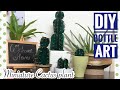 DIY bottle art-Miniature cactus plant -best out of waste || Home Decor || Tried pics by my Viewers
