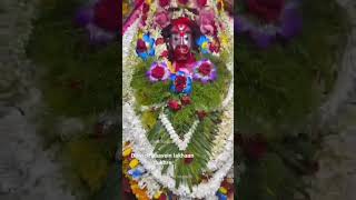 joy maa tara ❤📿🧿#likeandsubscribe #tarapithmandir #viralvideo #hitshorts #shortvideo #maaa