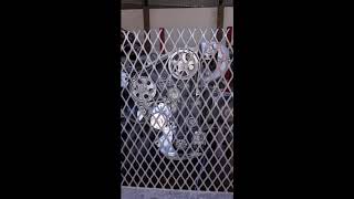 Nissan Straight 6 Rd28 Generator