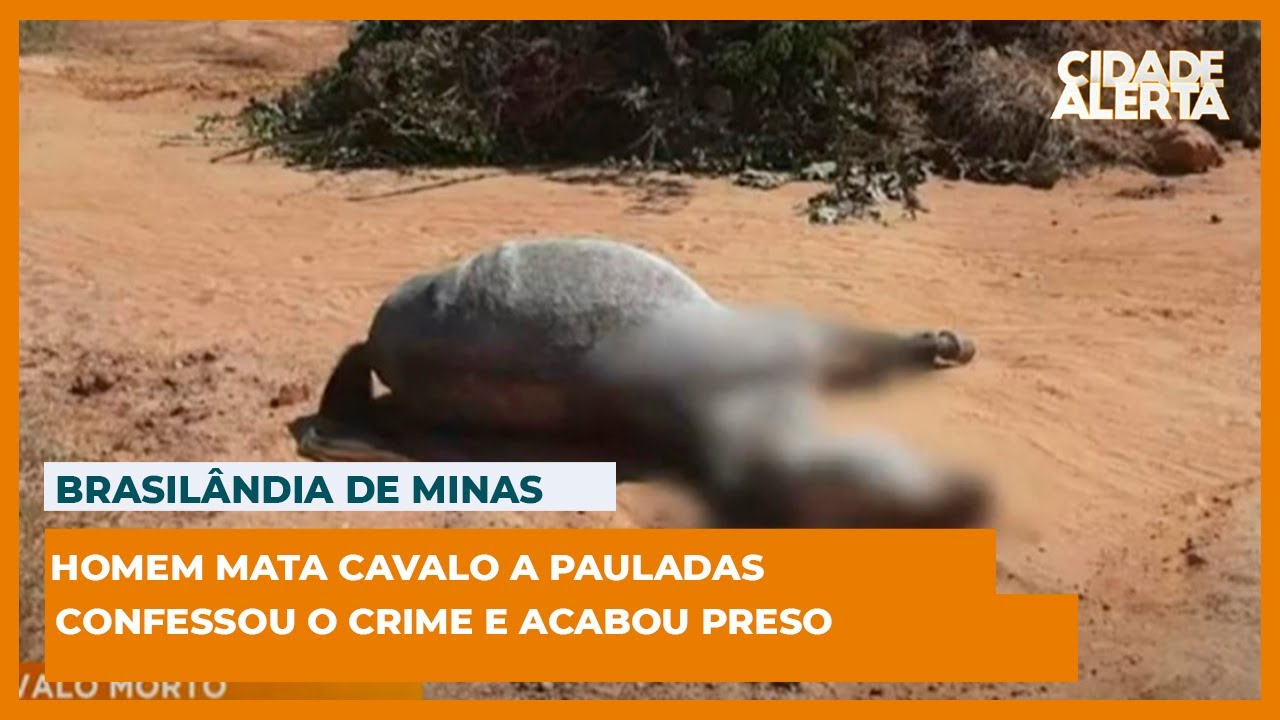 homem matando cavalo com facada