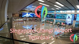 Changi Airport Terminal 1 Tour || Singapore