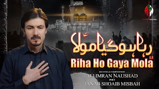 Download Lagu New Noha | Riha Ho Gaya Mola | Ali Imran Naushad | 25 Rajab | Shahadat Imam Musa e Kazim 2026 MP3