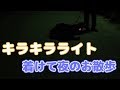 わんちゃんも大喜び？？キラキラライト着用～今日のお散歩～【ミックス犬くう】