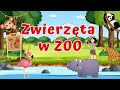 Zwierzta dla dzieci  zwierzta w zoo  odgosy zwierzt  bajka edukacyjna po polsku