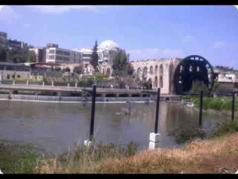 لبيك يا حماة