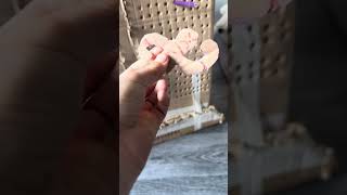 Bluejay 11drs cardboard game its very violent
