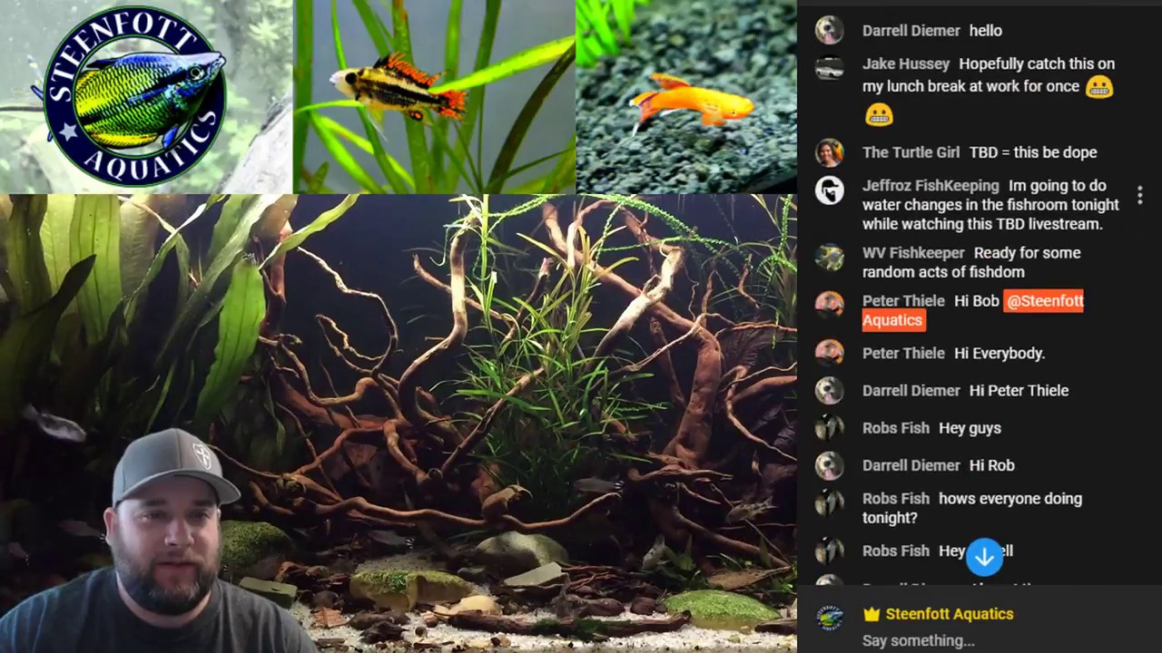 cichlid aquarium plants Monday Funday #164