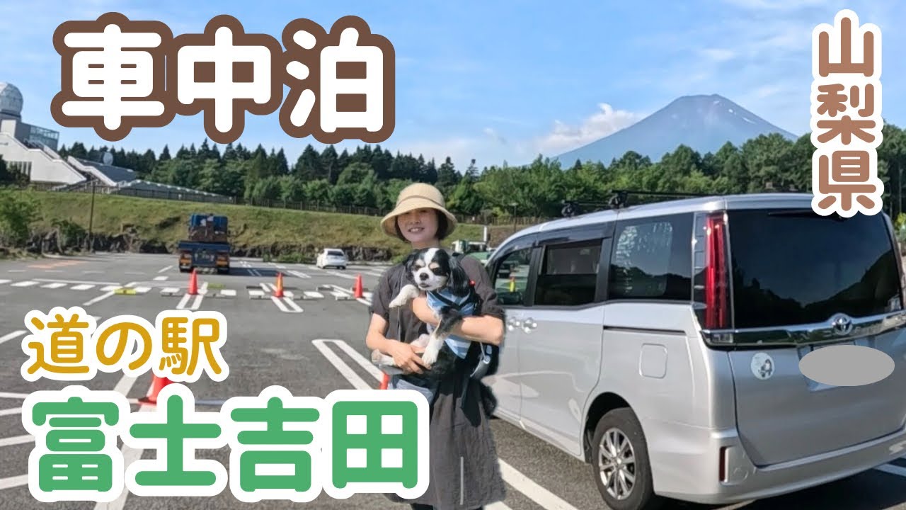 寄り道して車中泊する50代看護師と犬1匹。富士山の麓で車中泊。道の駅富士吉田。忍野八海/山中湖/新屋山神社/船津胎内樹型