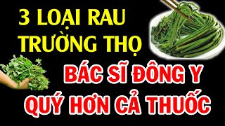 6 Loại Rau Càng Ăn Càng Sống Thọ, Bổ Gấp Ngàn Lần Nhân Sâm - Ai Cũng Nên Biết