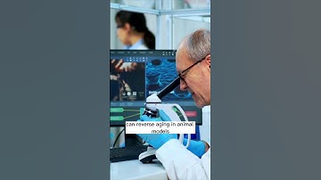 Unlocking the Secrets of Aging: The Role of Epigenetics and DNA Repair