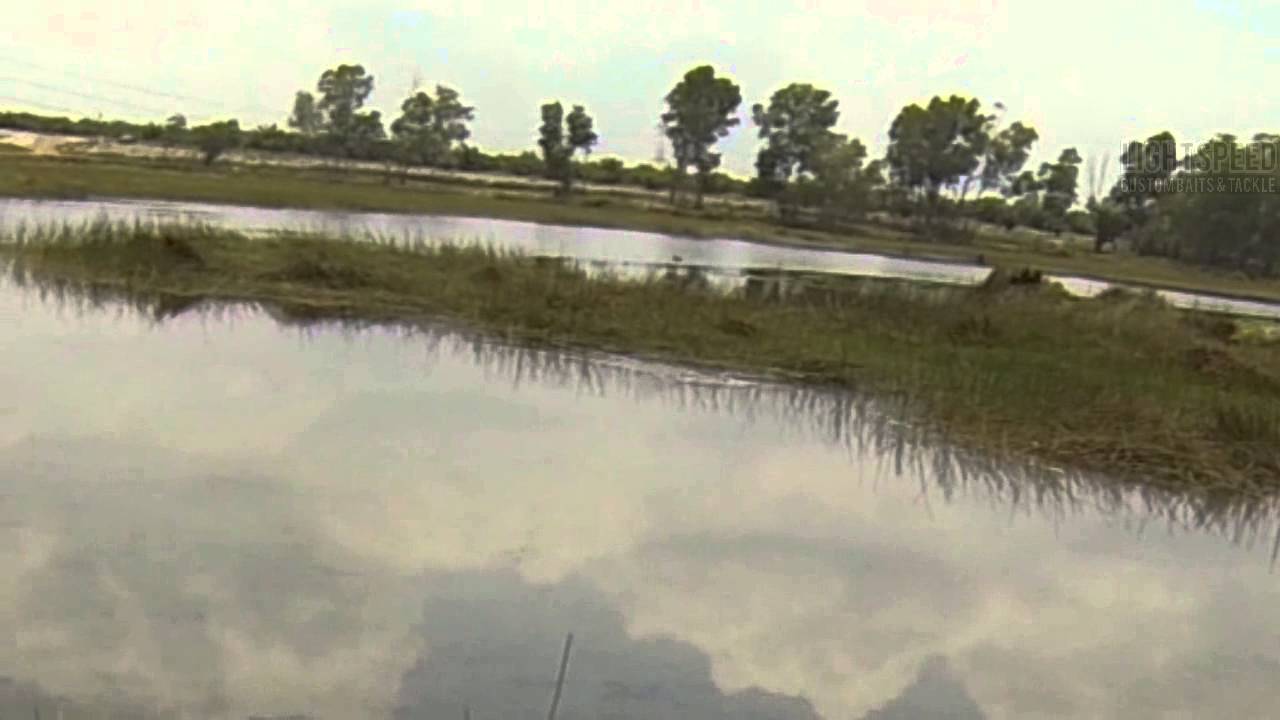 Koppers Frog Torpedoed By Fish