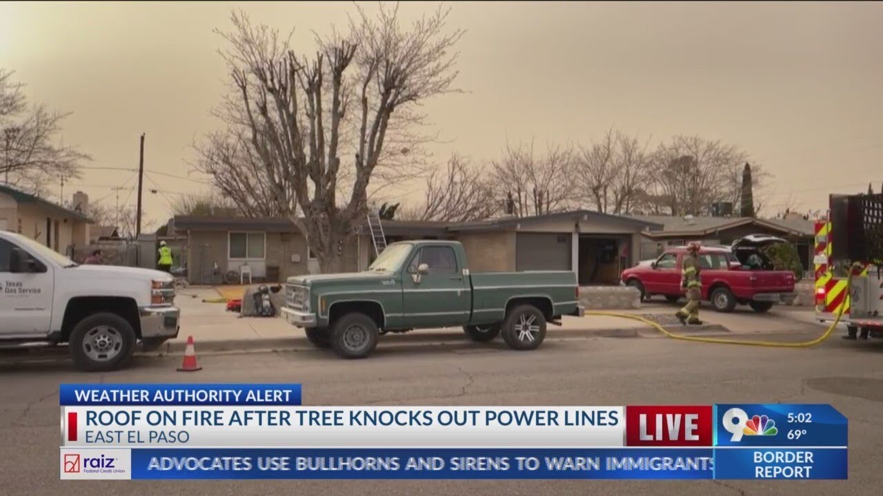 Roof on fire after tree knocks out power lines - YouTube