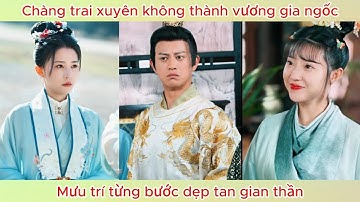Chàng trai xuyên không thành vương gia ngốc, mưu trí từng bước dẹp tan gian thần.