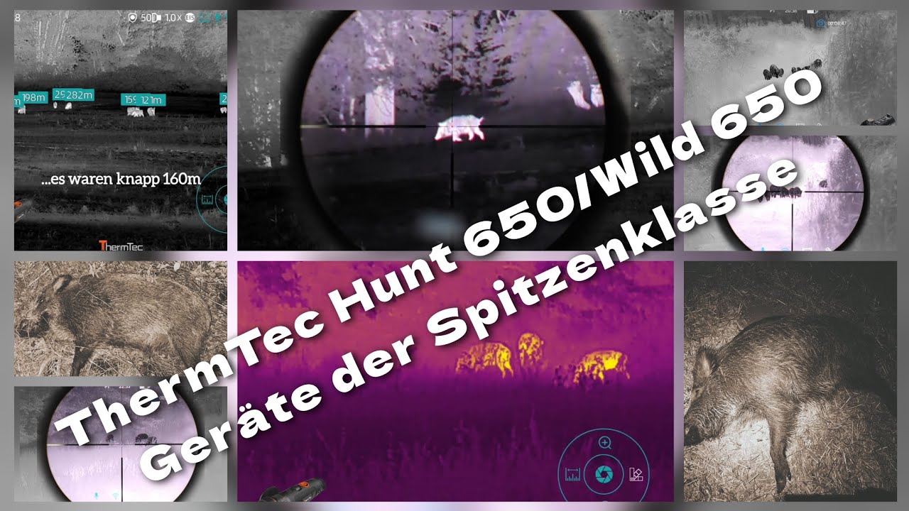 KEILERJAGD|ThermTec Wild 650D|ThermTec Hunt 650|Wildboarhunt|Thermal