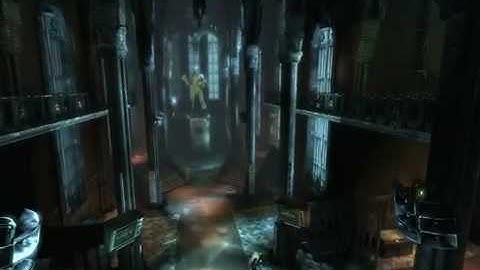 Batman Arkham Asylum no Physx