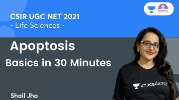 Apoptosis Basics in 30 Minutes | 🎯for CSIR NET2021 by Shail Jha