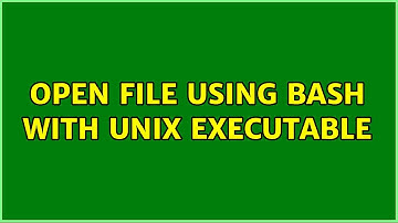Open file using bash with unix executable