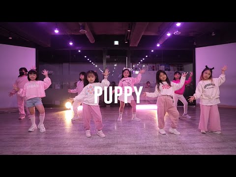 STAYC - POPPY  KIDS K-POP COVER DANCE