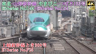 東北・山形新幹線 やまびこ・つばさ133号 E5系U44編成+E3系L64編成 上越新幹線とき308号 E7系F25編成 240426 JR Tohoku Shinkansen Tokyo Sta.