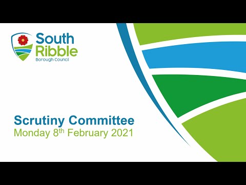Scrutiny Committee 08/02/2021