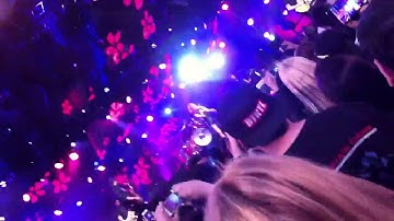 Paramore - Still Into You