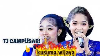 Kusuma Wijaya Tj Cdanursari