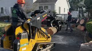 Complete Tree Service in the Hudson Valley Mauricio s Tree Service Tree Removal Trimming