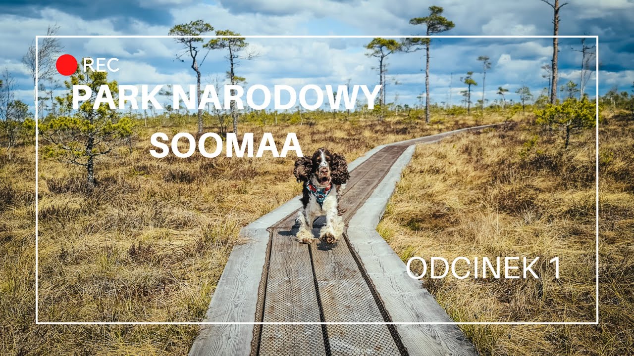 Pokochaj z nami Estonię! odc.1 Park Narodowy Soomaa
