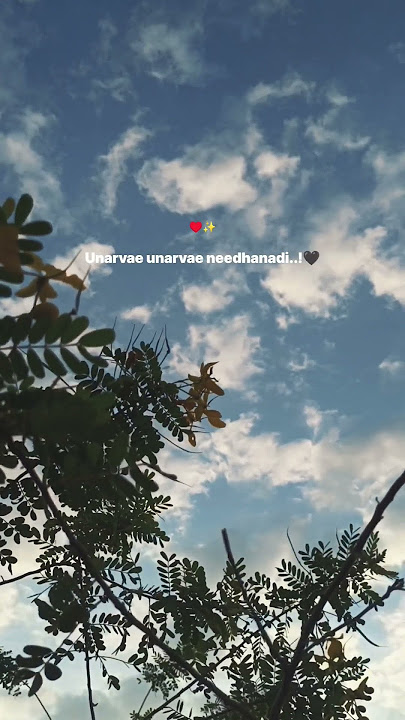 En Uyire Uyire Neethanadi - Songs Lyrics 💞 #whatsappstatus #shorts #sky #lovestatus