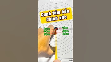 Cách Canh Tầm Bắn Chính Xác Cho Ná Cao Su – Khoảng Cách Từ 10m Đến 60m