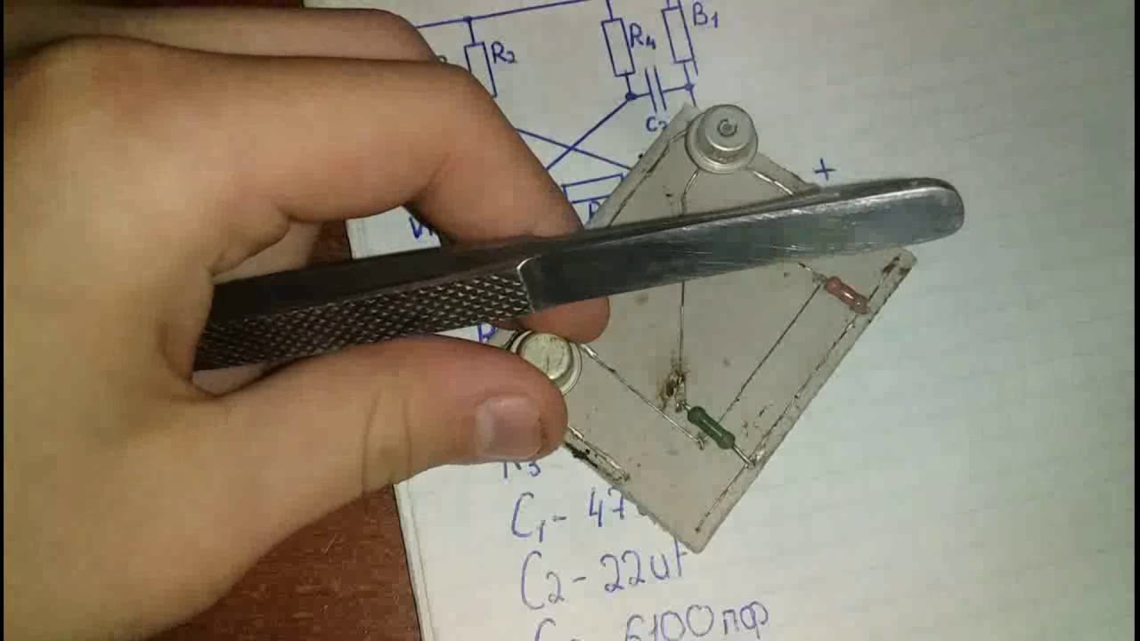 🐦Имитатор звука трелей канарейки - YouTube