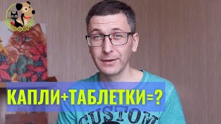 Как совмещать капли от блох и таблетки от глистов?