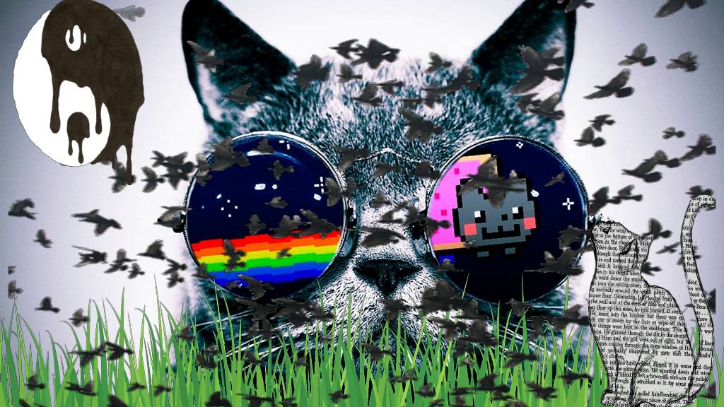 Celtic Irish Music With Cat Just Random