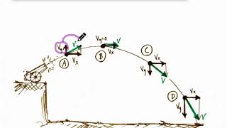 Projectile Motion Notes