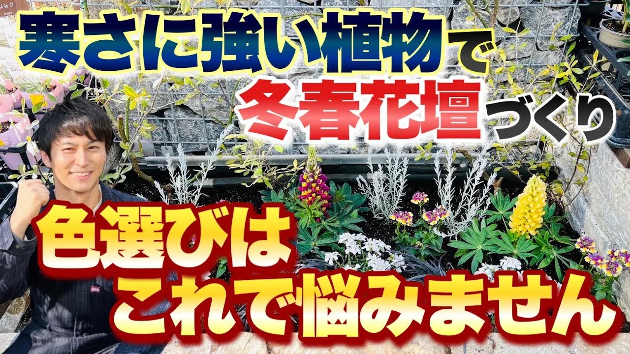 Color is key!] Mikami Flower Bed: Plant these in the spring of the