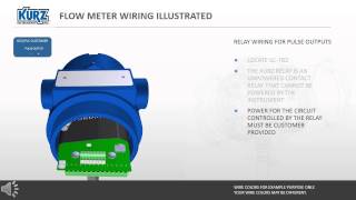 RELAY WIRING FOR PULSE OUTPUTS