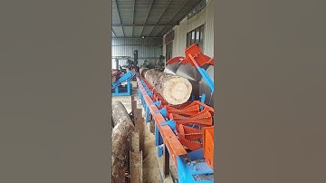 The process of tree trunk cutting- Good tools and machinery make work easy