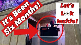 A SHOCKING DISCOVERY Inside My Fluval FX-6 after Running it for 6 Months 24/7! A Shocking Discovery Inside My Fluval Fx 6 After Running It For 6 Months 24 7
