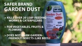 Safer Garden Dust Review (BT Bacillus Thuringiensis) Organic Ghost Pepper Gardening