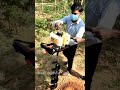Earth Auger Demo Video |Post Hole Digger #shorts #shortvideo #short
