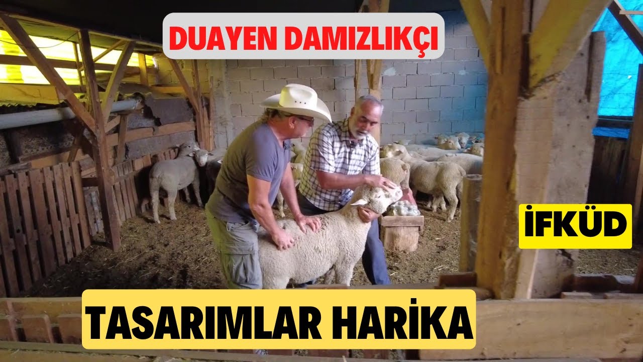 30 DAMIZLIK İLE KAZANIYOR ( Iledefrance Duayen Üretici İFKÜD)