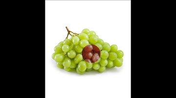 how to make color changing magnifying glass effect#photoshop#viralVideo#gfx    # graphic desiner