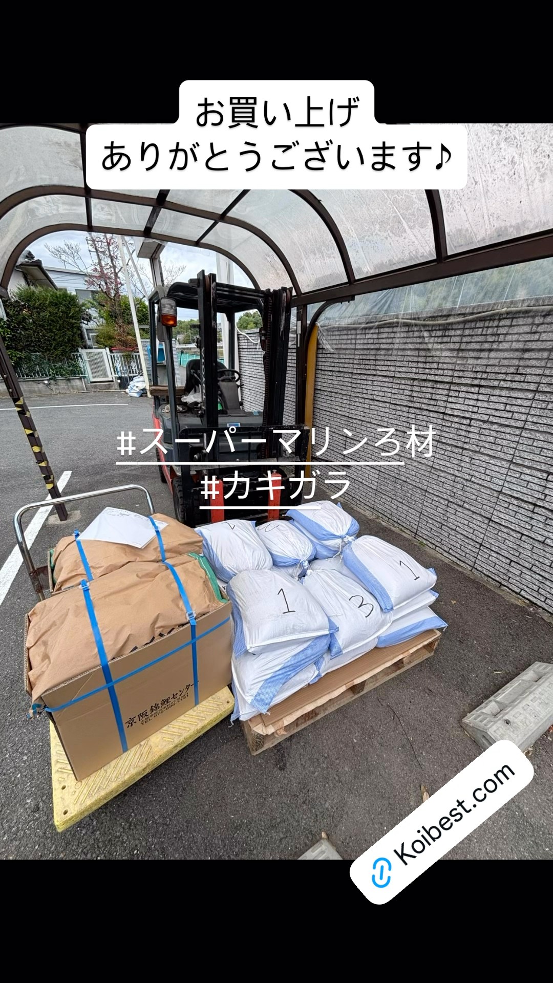 スーパーマリン 濾過#交換用濾材#カキガラ】 お買い上げありがとう